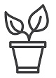plante en pot (petite) 